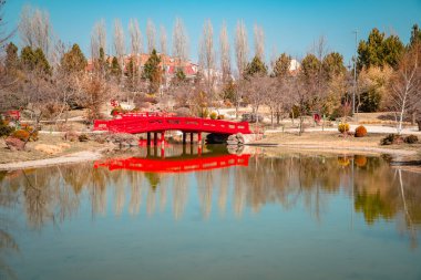 Türkiye 'nin Eskisehir kentindeki Doğu Japon Bahçesi' nin panoramik manzarası