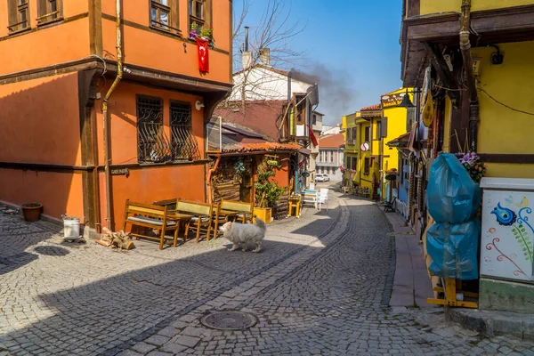 Eskisehir Turkey March 2021 Street Photography Dog Colorful Restored Traditional — 图库照片
