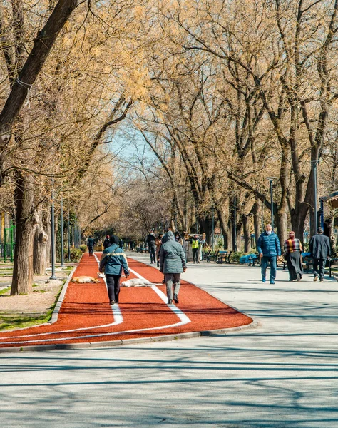 Ankara Turquie Mars 2021 Vue Verticale Des Personnes Marchant Sur — Photo