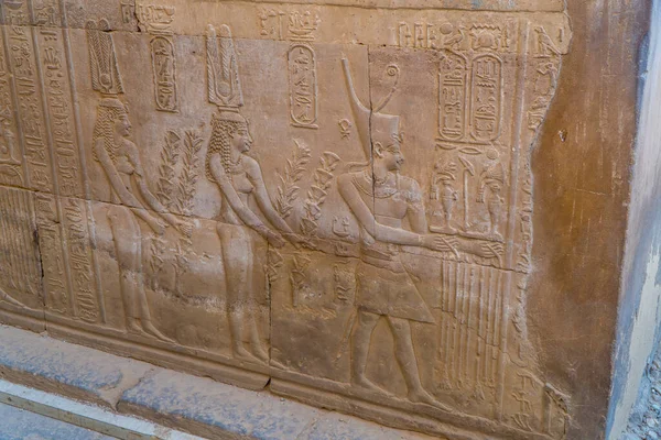 Een Blik Egyptische Hiërogliefen Gravures Muren Van Kom Ombo Temple — Stockfoto