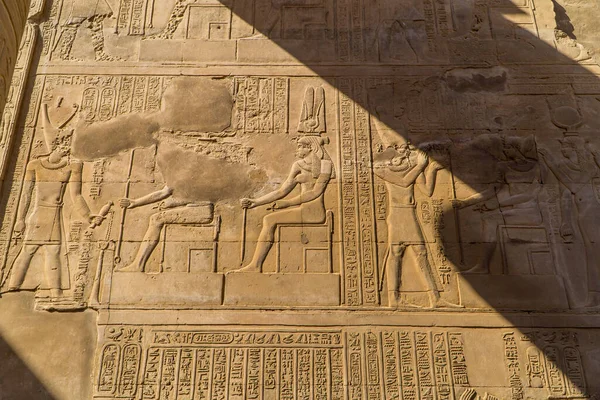 Een Shot Van Egyptische Hiërogliefen Gravures Muren Van Kom Ombo — Stockfoto