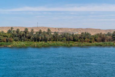 Mısır, Edfu yakınlarında palmiye ağaçları ve bitki örtüsü bulunan Nil Nehri kıyıları manzarası