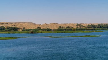 Mısır, Edfu yakınlarında palmiye ağaçları ve bitki örtüsü bulunan Nil Nehri kıyıları manzarası