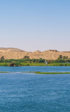 Edfu, Mısır yakınlarındaki palmiye ağaçları ve bitki örtüsüyle Nil Nehri kıyılarının güzel dikey görüntüsü