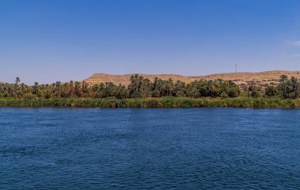 Edfu Mısır Yakınlarındaki Palmiye Ağaçları Bitki Örtüsüyle Nil Nehri Kıyılarının — Stok fotoğraf