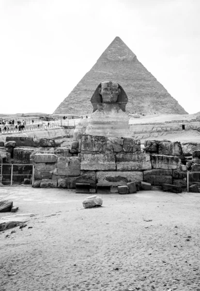 Gizeh Ägypten April 2021 Vertikale Schwarz Weiß Aufnahme Der Sphinx — Stockfoto