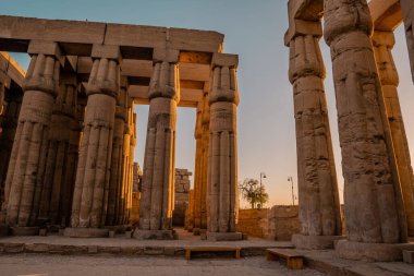 Luxor, Mısır 'daki Luxor Tapınağı' ndaki antik Mısır sütunları