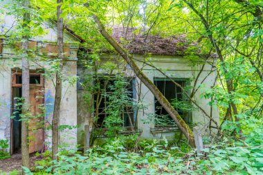 Ukrayna, Çernobil yakınlarındaki Çernobil Yasak Bölgesi içinde terk edilmiş bir ev.