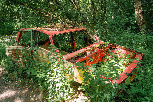  Заросший заброшенный автомобиль в Чернобыльской зоне отчуждения недалеко от Чернобыля, Украина