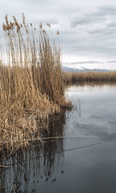 Merkez Anadolu Sultanı Reedy (Sultansazligi) Milli Parkı, Türkiye 'de bataklık ve göl manzaraları dikey bulutlu