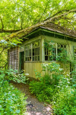 Ukrayna 'nın Çernobil kenti yakınlarındaki Çernobil Yasak Bölgesi' nde terk edilmiş bir evin dış görünüşü dikey.