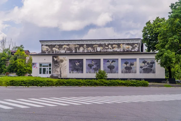 Chernobyl Ucrania Junio 2021 Una Casa Ciudad Chernobyl Dentro Zona — Foto de Stock