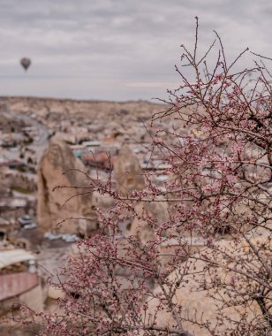 Türkiye 'nin Kapadokya kentindeki kiraz çiçeklerinin dikey görüntüsü Goreme kasabası üzerinde sıcak hava balonuyla uçuyor