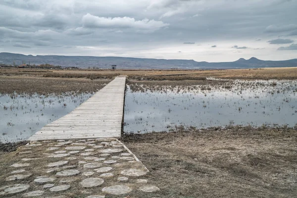 Moody Panoramisch Uitzicht Een Houten Voetgangersbrug Die Leidt Door Moerassen — Stockfoto