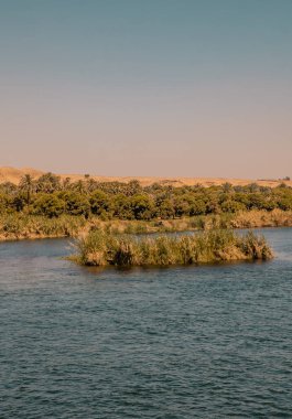 Edfu, Mısır yakınlarındaki manzaralı Nil Nehri 'nin dikey gün batımı manzarası