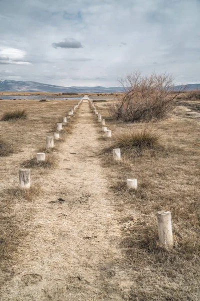 Verticale Weergave Van Een Pad Door Landschappen Met Moerassen Vijvers — Stockfoto