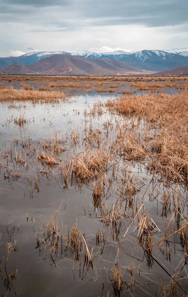 Moody Verticaal Uitzicht Landschappen Met Moerassen Meren Sultan Reedy Sultansazligi — Stockfoto