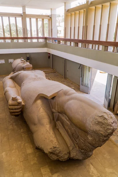 Memphis, Mısır - 1 Nisan 2021 - antik Memphis başkenti 2. Ramses 'in yalancı heykelinin dikey görüntüsü