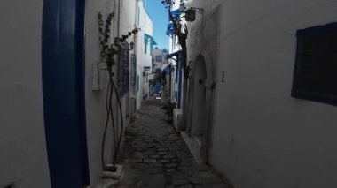 Sidi Bou Said, Tunus - 13 Eylül 2025 - Tunus 'un güzel Sidi Bou Said kasabasında beyaz-mavi evler