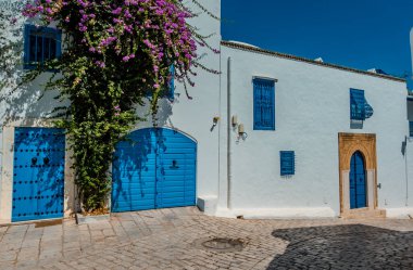 Tunus 'un Sidi Bou Said kasabasında geleneksel beyaz-mavi evler