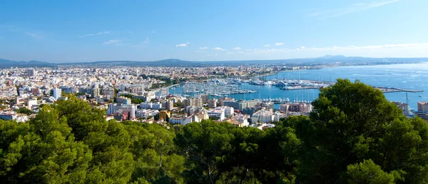 Landscape Port Palma Mallorca Spain — Stockfoto