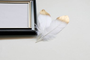 Beyaz arkaplanda resim çerçevesinin yanına yerleştirilmiş beyaz tüyler.