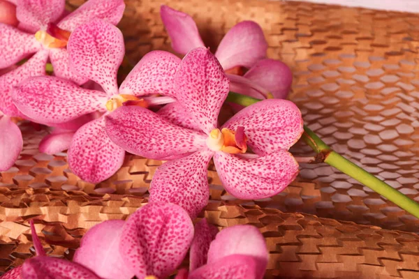 Orquídeas Rosadas Sobre Textura Papel Marrón — Foto de Stock