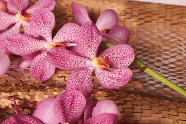 Růžové Orchideje Hnědém Papíře Textury — Stock fotografie