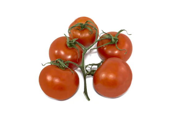 Ветвь красных помидоров — стоковое фото