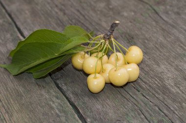 Branch of white sweet cherry on the old desktop