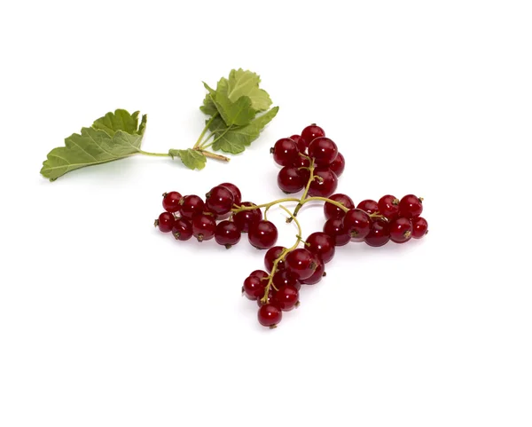 The red currant which is laid out in the form of a figure — Stock fotografie