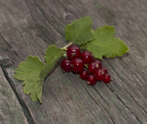 Zweig der roten Johannisbeere auf dem alten Desktop — Stockfoto