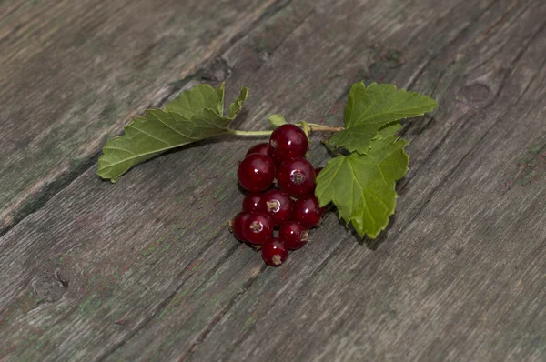 Zweig der roten Johannisbeere auf einem schäbigen Tisch — Stockfoto