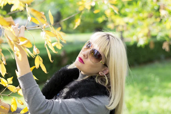 Sonbahar, sarı yaprakları ile bir şubesine kadın