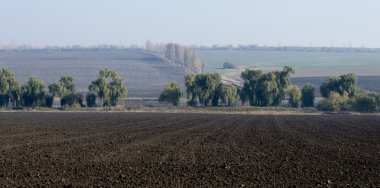 rural areas, the plowed fields, in the middle trees, fall, subje