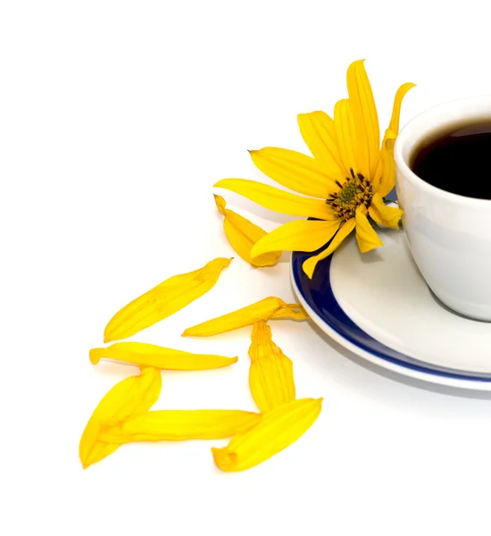 Fiore giallo, petali e frammento di una tazza su caffè, isolato — Foto Stock