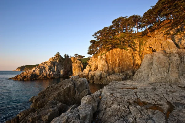 Tôt le matin au bord de la mer . — Photo