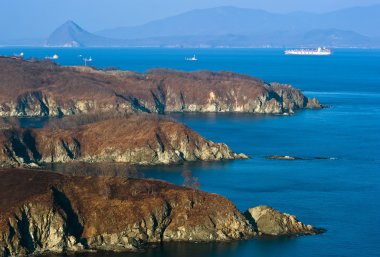 Nakhodka. Rusya-05 Nisan 2016: konteyner gemisi şirketleri Nakhodka bay demirlemiş Cosco.