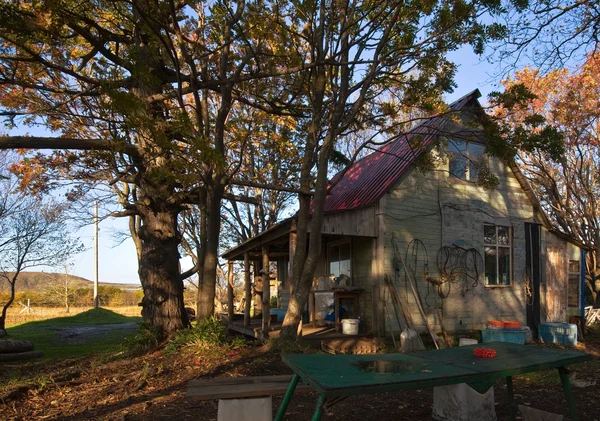 Stary mały dom pod drzewami w słoneczny poranek. — Zdjęcie stockowe