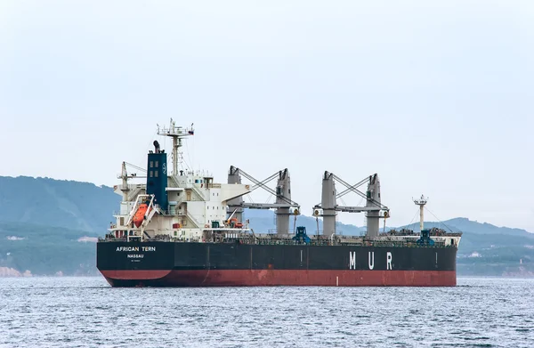 Nakhodka. Ryssland - 03 juni 2016: Bulkfartyget afrikanska tärna på förankrade i vägarna. — Stockfoto
