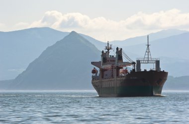 Nakhodka. Rusya - 03 Temmuz 2016: Lev Yaşin, yollar bağlantılı toplu taşıyıcı.