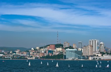 Vladivostok. Rusya. 19 Temmuz 2016: Vladivostok bölümünün görünümünü.