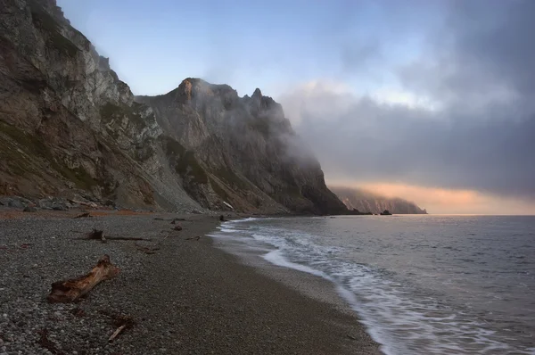 Foggy morning on a wild shore. — Stock Photo, Image