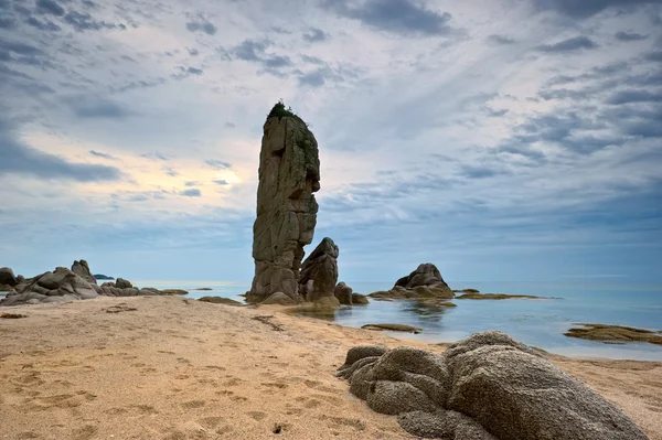 早上在野生的海滩上. — 图库照片