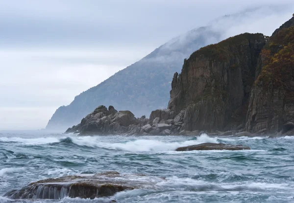 Tempestade no litoral selvagem . — Fotografia de Stock