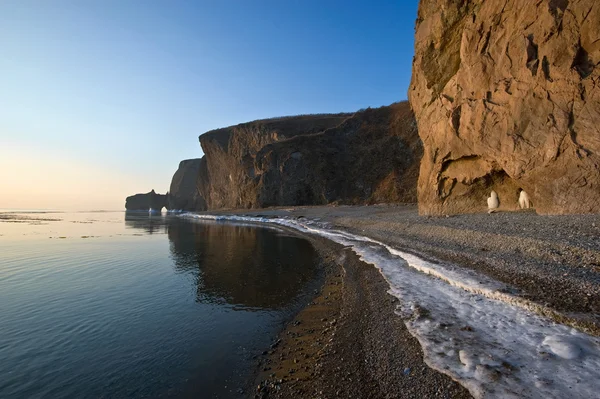 Stille vintermorgen på stranden . - Stock-foto