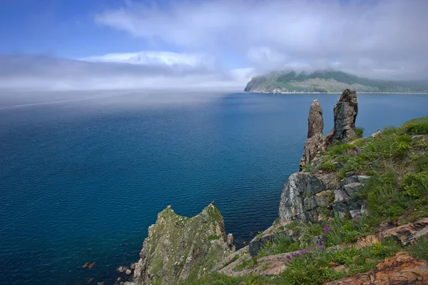 Côte rocheuse qui recouvre le brouillard . — Photo