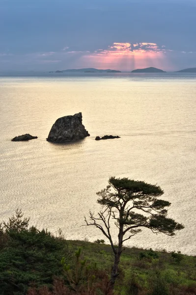 Večerní krajina u moře. — Stock fotografie
