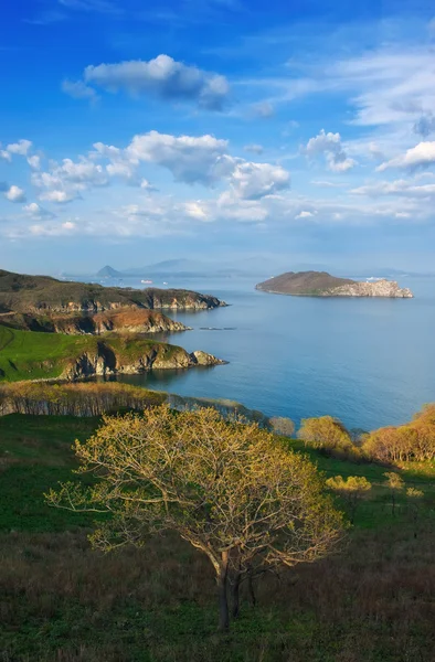 Paysage nocturne printanier autour de la baie de Nakhodka . — Photo