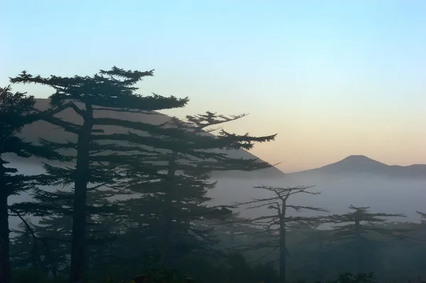 Temprano en la mañana sobre la isla de Iturup . — Foto de Stock